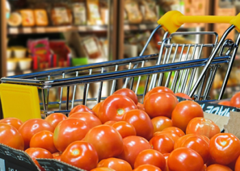 Aranceles altos de EEUU sofocan producción de tomate mexicano