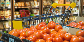 Aranceles altos de EEUU sofocan producción de tomate mexicano