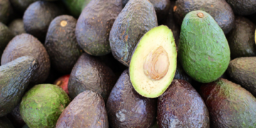 Aguacate mexicano compite por el mercado estadounidense