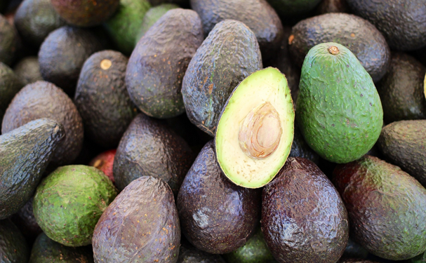 Aguacate mexicano compite por el mercado estadounidense