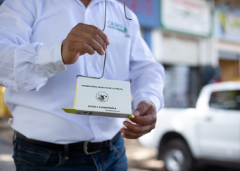 La mosca del Mediterráneo es contenida en Manzanillo