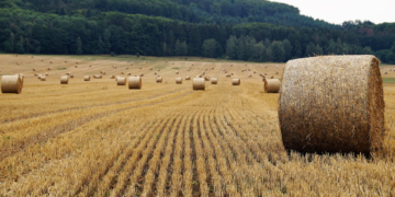 Investigadores y autoridades urgen a evitar quemas agrícolas