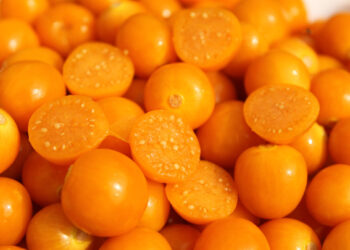 Uchuva, súper fruta con potencial para el mercado estadounidense