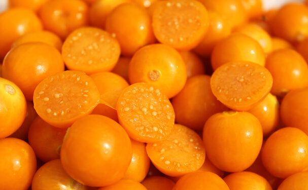 Uchuva, súper fruta con potencial para el mercado estadounidense