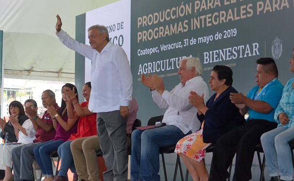 250 mil caficultores recibirán recursos para producción sostenible