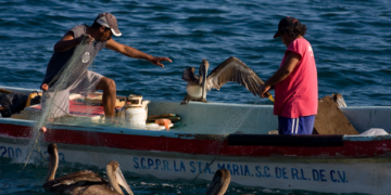 Conapesca destinará mil 159 mdp al sector pesquero y acuícola