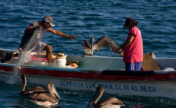 Conapesca destinará mil 159 mdp al sector pesquero y acuícola