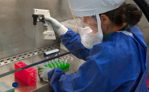 FAO crea fondo para acabar con resistencia de antimicrobianos
