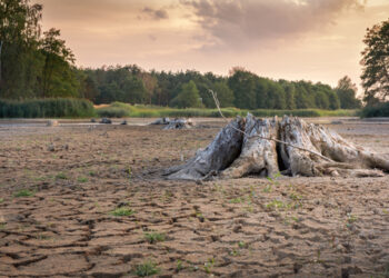 Innovaciones agrícolas para reforzar vulnerabilidad ante las sequías: FAO