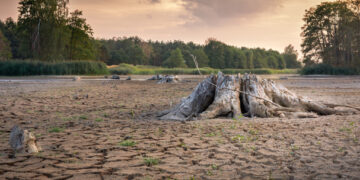 Innovaciones agrícolas para reforzar vulnerabilidad ante las sequías: FAO