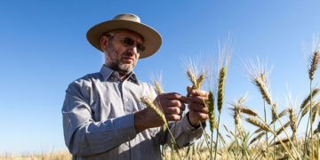 México cuenta con uno de los investigadores de trigo más reconocidos del mundo