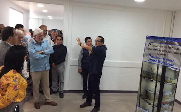 México debe apostar a la producción los biofertilizantes