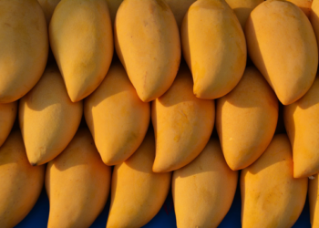 México se perfila como el mayor exportador de mango del mundo
