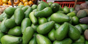 Precio del aguacate mexicano llega a máximo histórico