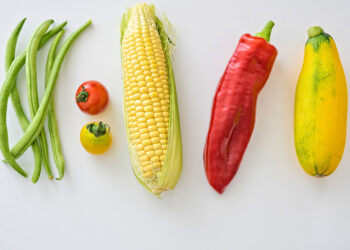 Chapingo pone a disposición patentes para mejora de alimentos