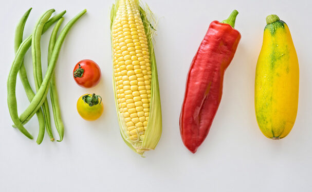 Chapingo pone a disposición patentes para mejora de alimentos