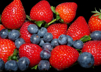 Advierten crisis en berries de Michoacán por uso de agroquímicos