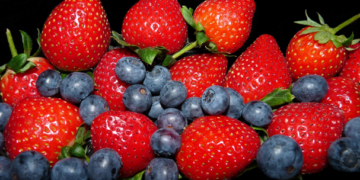 Advierten crisis en berries de Michoacán por uso de agroquímicos