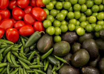 En 2019 se prevé aumento exportaciones agroalimentarias a México