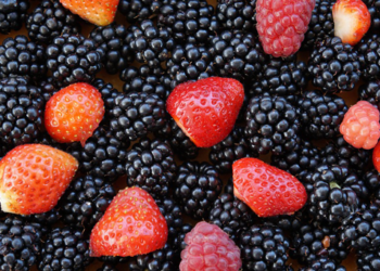 Inauguran nuevo vivero de frambuesa y fresa en México