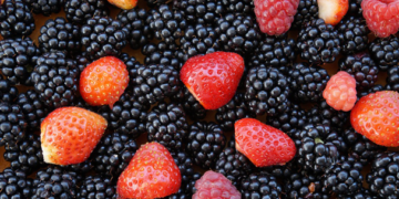 Inauguran nuevo vivero de frambuesa y fresa en México