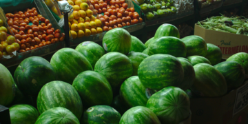 ONG piden decreto presidencial para prohibir el cultivo de transgénicos