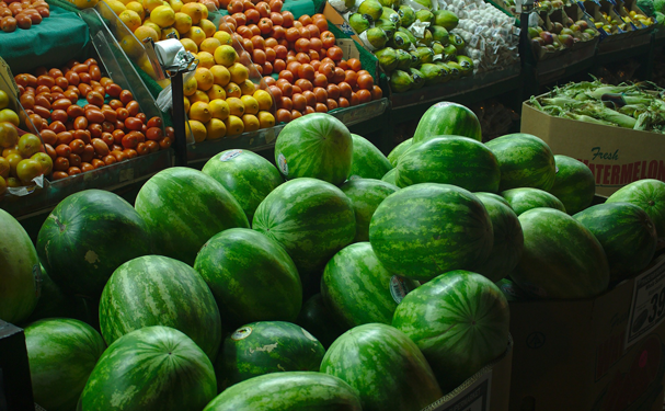 ONG piden decreto presidencial para prohibir el cultivo de transgénicos