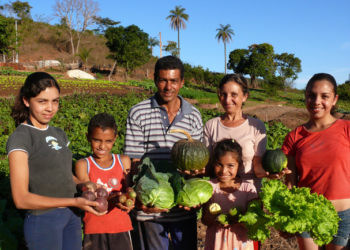 Alimentación sana a partir de producción local y familiar: FAO