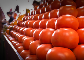 Autoridades analizan cambiar cultivos de tomate por arancel