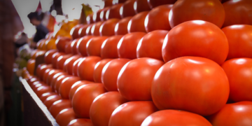 Autoridades analizan cambiar cultivos de tomate por arancel