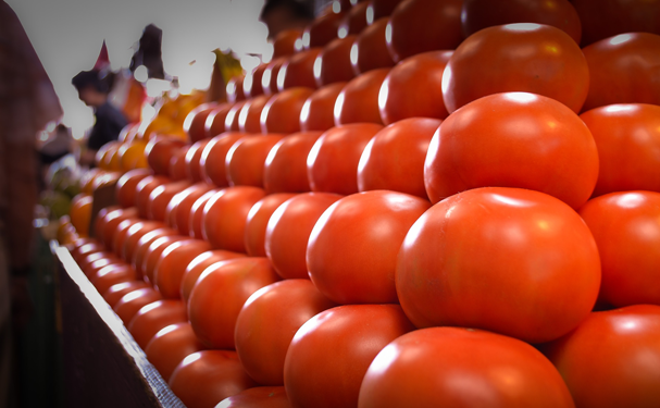 Autoridades analizan cambiar cultivos de tomate por arancel