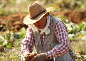 Campesinos y autoridades coinciden en fortalecer programas para el campo