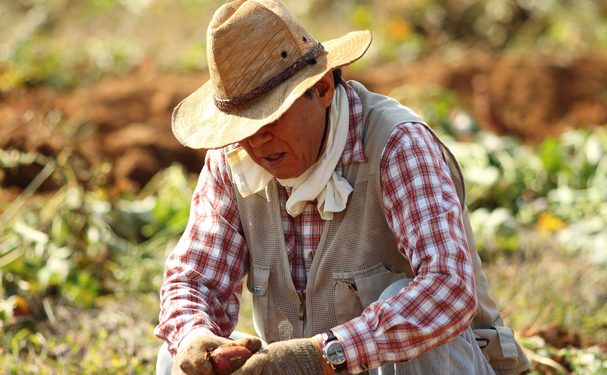 Campesinos y autoridades coinciden en fortalecer programas para el campo