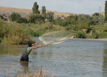 Corroboran trabajo a favor de la productividad del campo y pesca