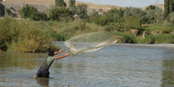 Corroboran trabajo a favor de la productividad del campo y pesca