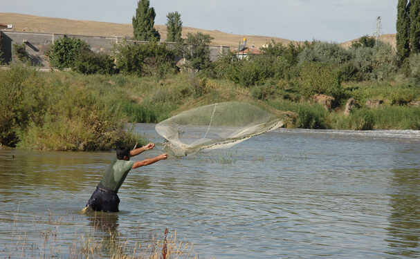 Corroboran trabajo a favor de la productividad del campo y pesca