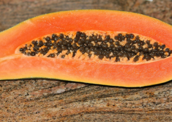 EEUU anula nota contra la papaya mexicana