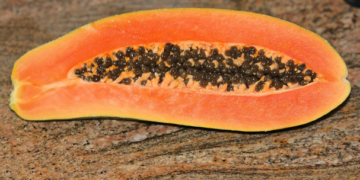 EEUU anula nota contra la papaya mexicana