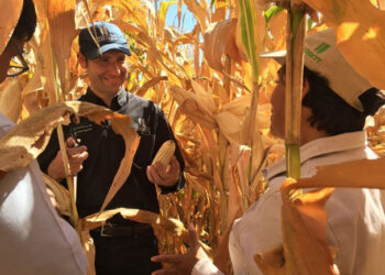 Impulso a la ostricultura en México