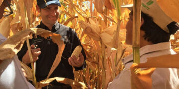 Impulso a la ostricultura en México