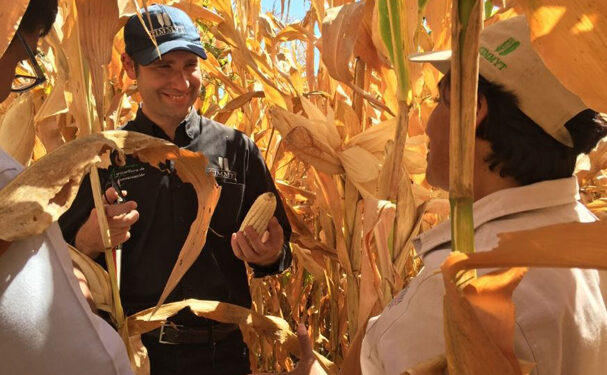 Impulso a la ostricultura en México