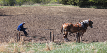 Informe urge a los gobiernos reformar sus apoyos a la agricultura