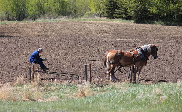 Informe urge a los gobiernos reformar sus apoyos a la agricultura