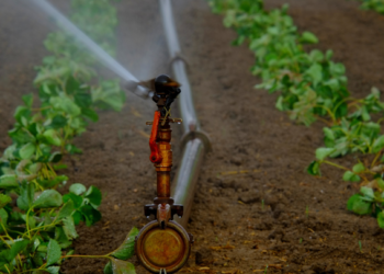 Investigadores realizan foro a favor del cuidado del suelo y agua