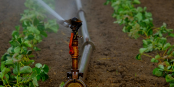 Investigadores realizan foro a favor del cuidado del suelo y agua