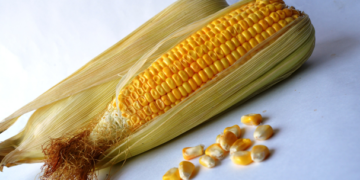 Legisladores piden declarar al maíz patrimonio nacional alimentario