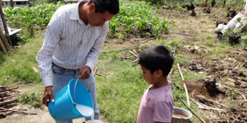 Productores chiapanecos adoptan innovaciones agrícolas