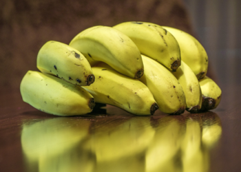 Productores de plátano y autoridades unen acciones contra plaga colombiana