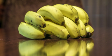 Productores de plátano y autoridades unen acciones contra plaga colombiana