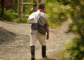 Programa motiva agricultores en Yucatán a no emigrar